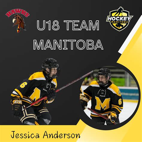 pembina valley minor hockey|pembina valley hockey association.